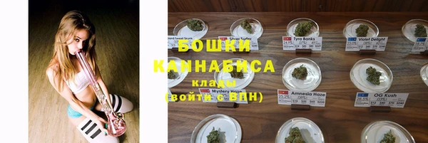 тгк Гусь-Хрустальный