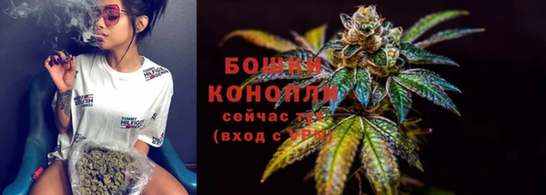 МДПВ Гусев