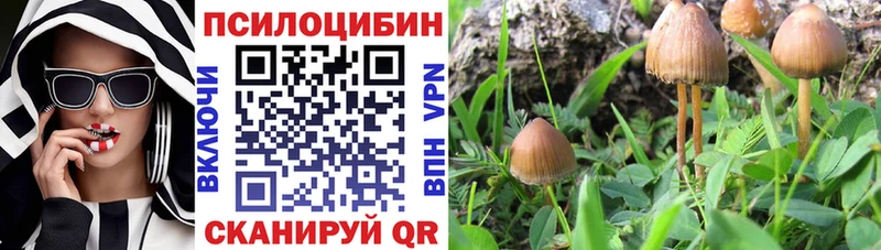 Купить закладки  Перевоз  Галлюциногенные грибы ЛСД 